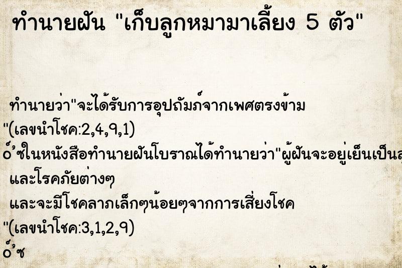 ทำนายฝัน เก็บลูกหมามาเลี้ยง 5 ตัว ทำนายฝัน เก็บลูกหมามาเลี้ยง 5 ตัว